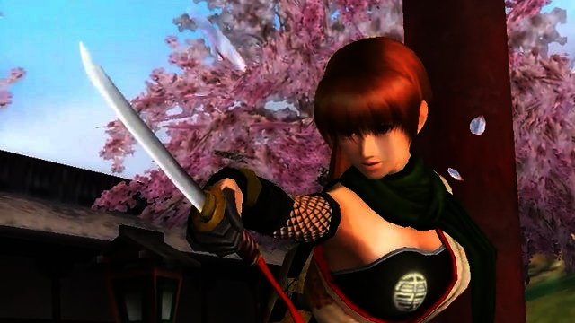 Dead or Alive Dimensions Review